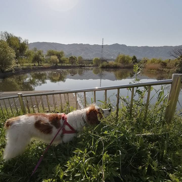 Ae51b194 4da4 4ecc af81 9c38d255690f 1587865026758