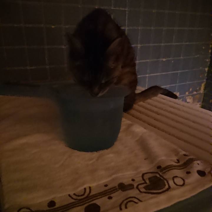 Ae51b415 2f81 4ded 9c0d 0e71b5b3feff 1570787204178