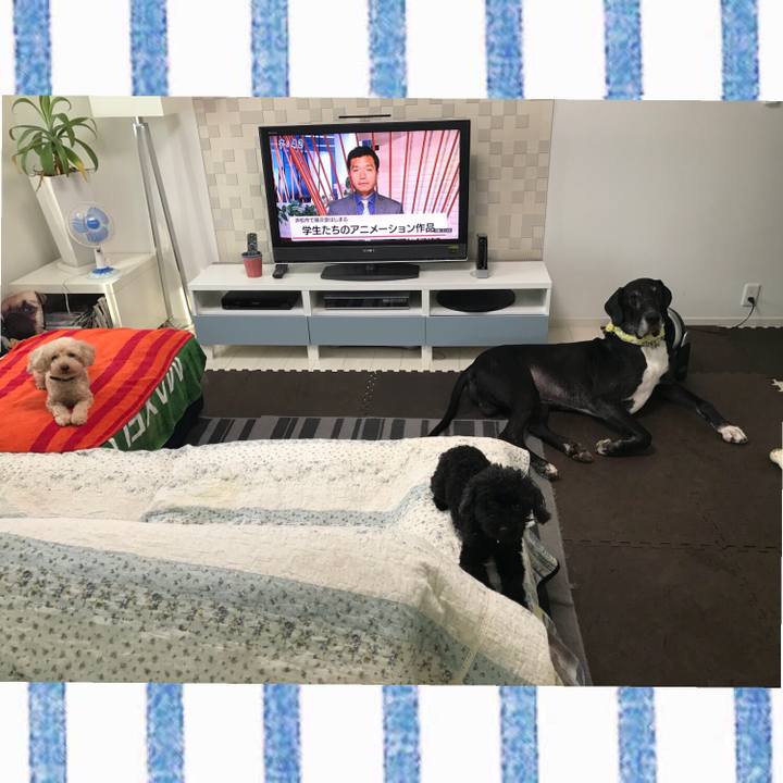 Ae51c387 6dd6 404f beee 3babc7c1df44 1533250068621