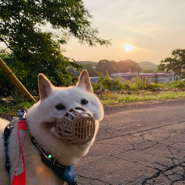 Ae51c88c 0379 4e15 b211 fb240d44723c 1629406007952