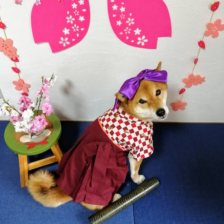 Ae51d106 35e4 4026 9450 e36670255eda 1585638374890