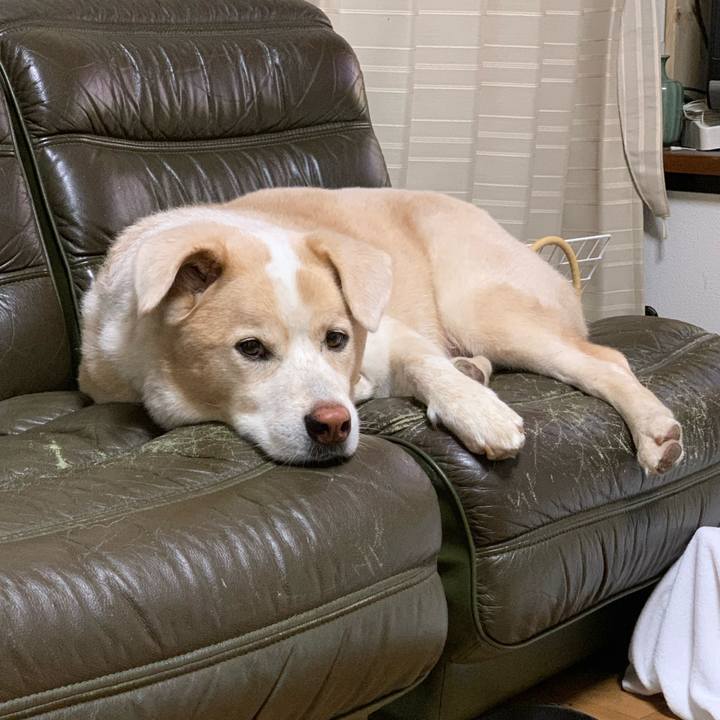 Ae51ddeb 2943 4226 ac00 f9ceda8b681b 1600944035250