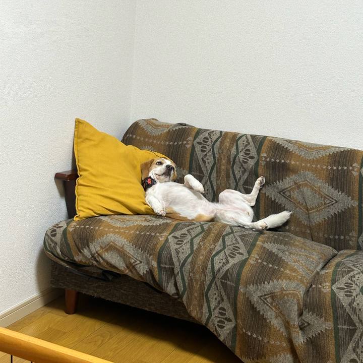 Ae521b69 734c 48e8 8f8e 684a77b2a16c 1685672359700