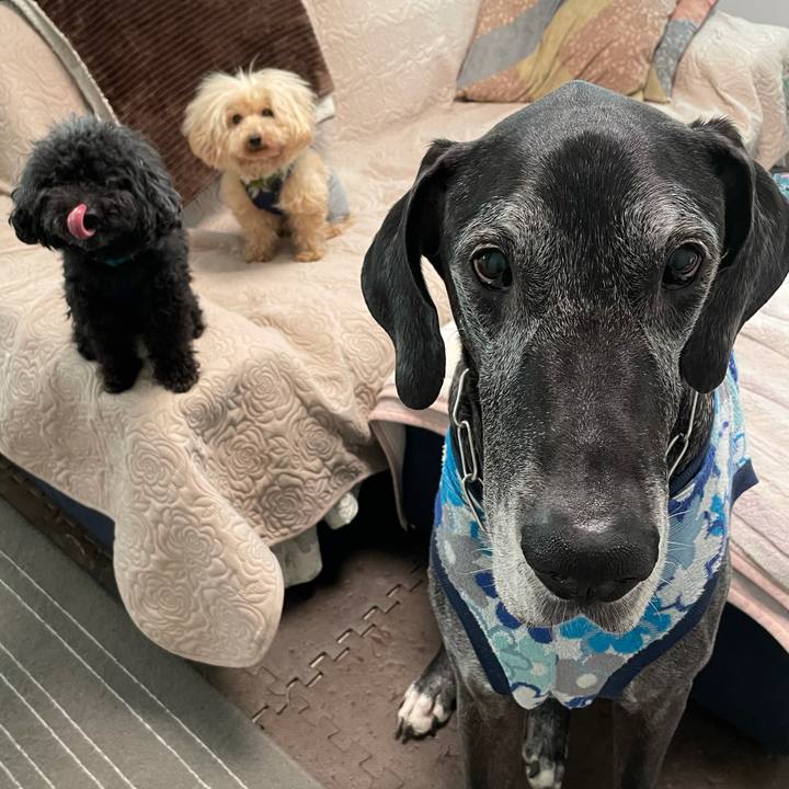 Ae5227c0 56be 4b51 bcef 1637f8f3b790 1619564231855