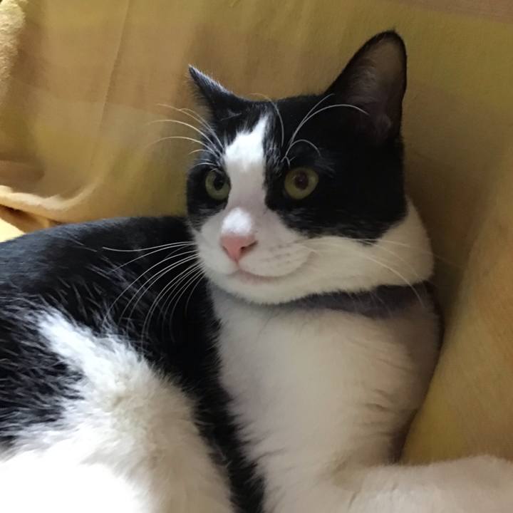 Ae522fee 61fa 4aaa 9243 f6df20f08a0c 1671800635473