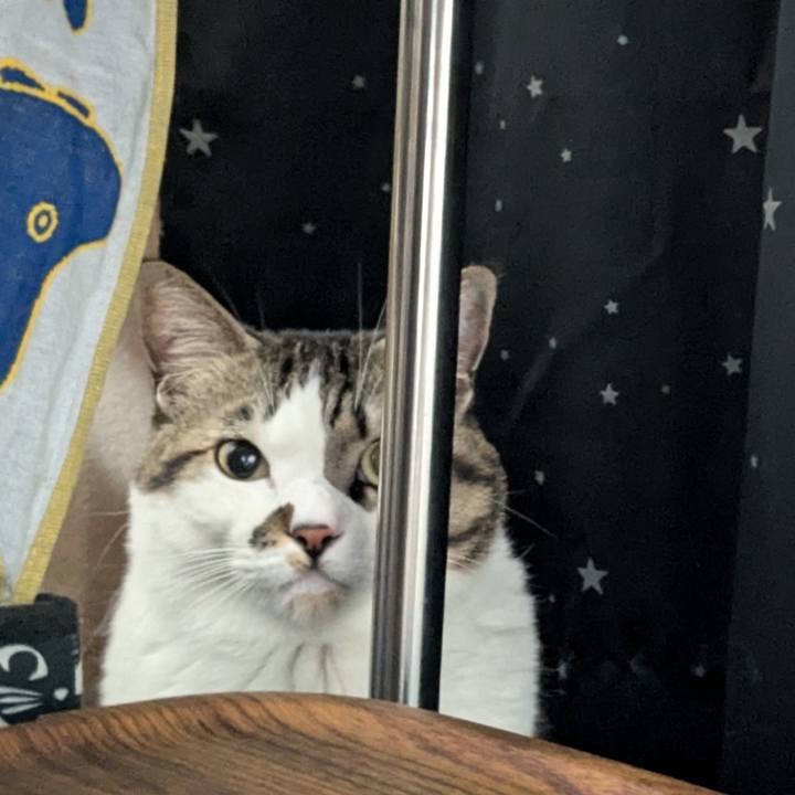 Ae52808e f718 4b01 94b4 006228994458 1736423862514