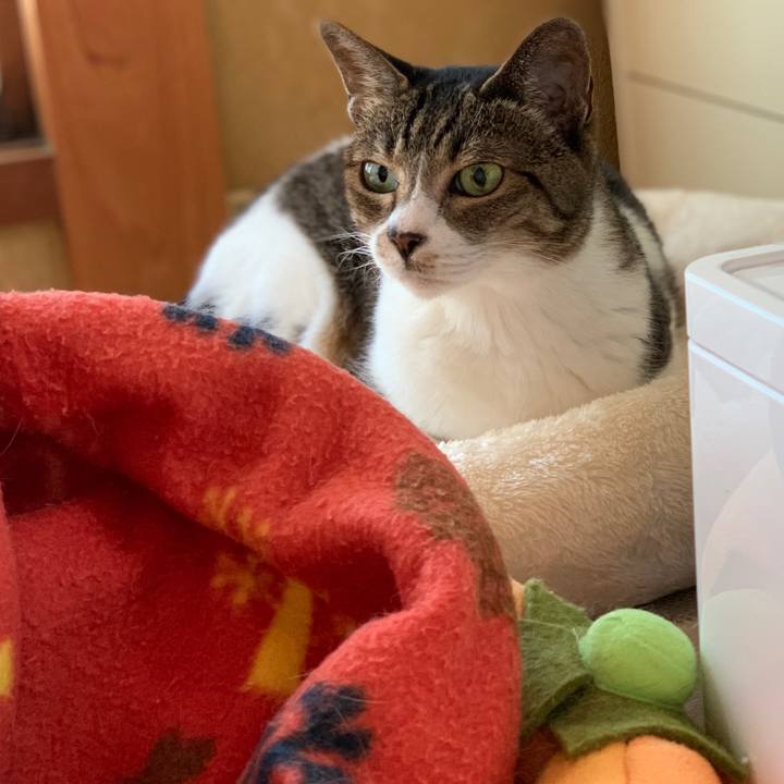 Ae5299e8 5753 4e7e 8094 4f3d4bd649f2 1598921519381