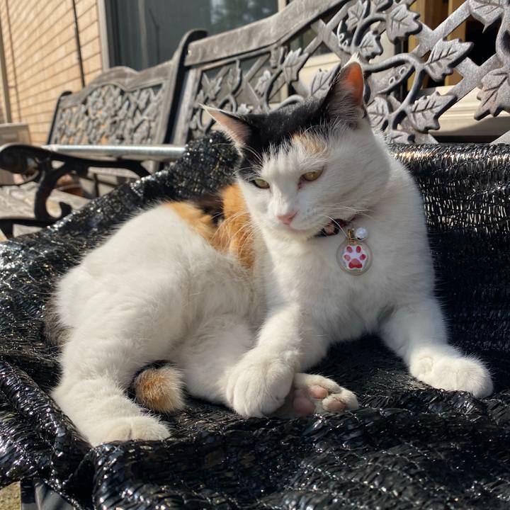 Ae52abac aeb8 421b 9071 cb2f9be545ee 1642417249396