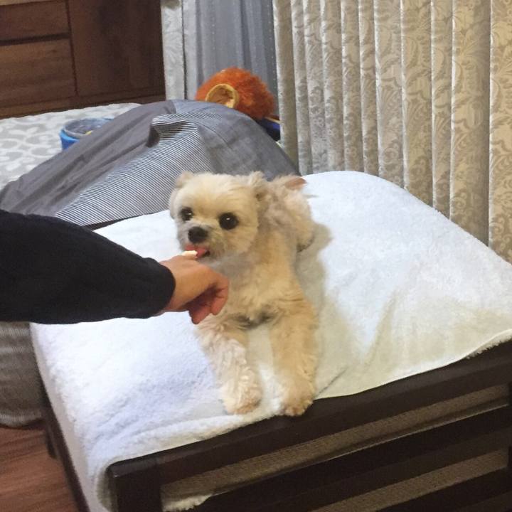 Ae52b823 00d0 4e62 9c73 3904d36abfaf 1554721776708