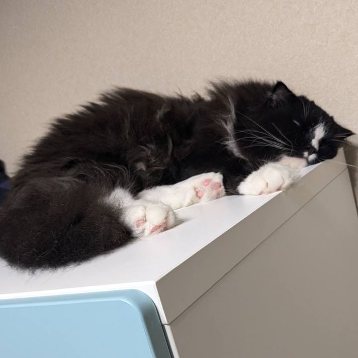 Ae52d919 f32f 4ec3 a5ab 77b466e5d109 1724640995239