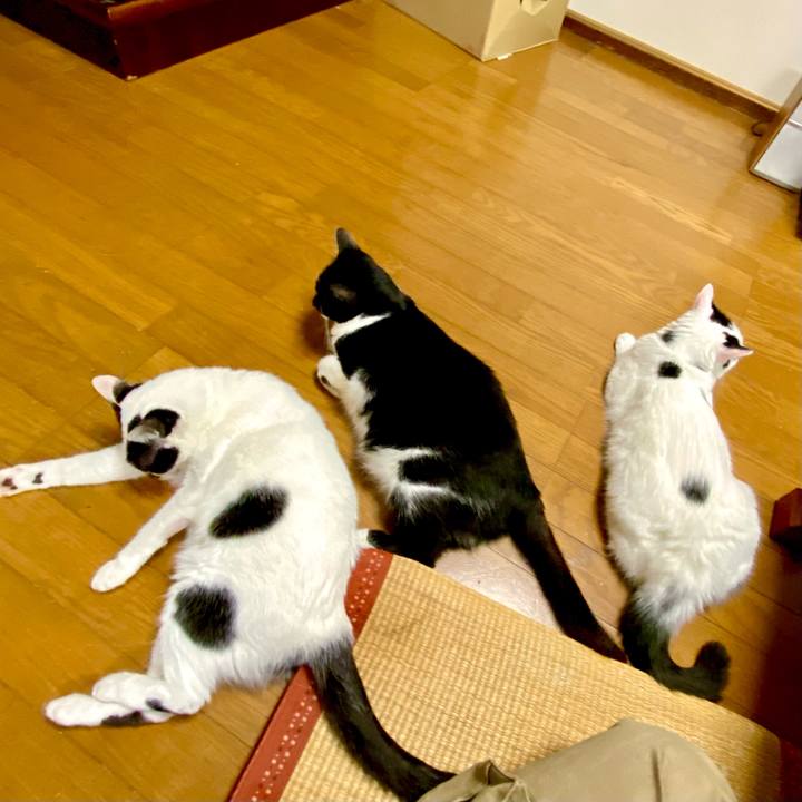 Ae532611 1d71 46e2 97fa 6b8243c7fb68 1624582890023