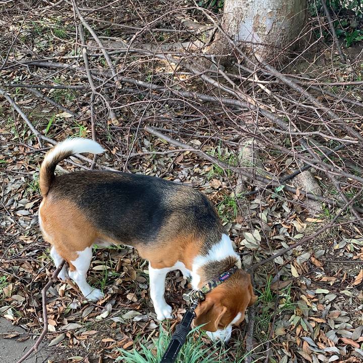 Ae5330a9 136e 4222 bc60 7a067e90a8ae 1569650094011