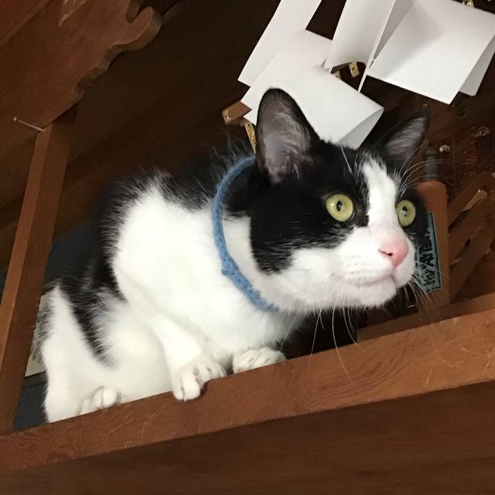 Ae5339eb e6ee 41a9 9449 76aa2ef751db 1747645992210