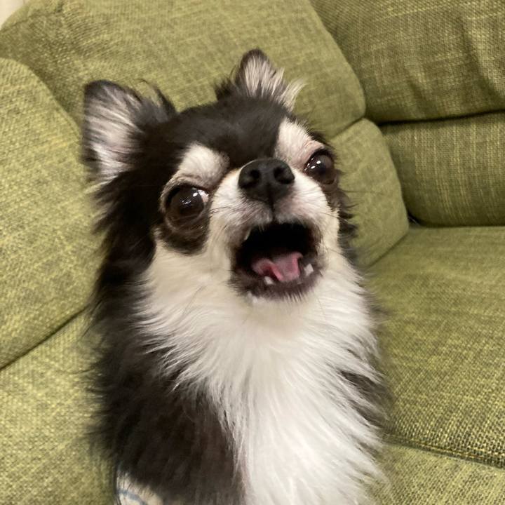 Ae53a84f 5985 4b7b 8106 e29798ff1cdb 1665409843411