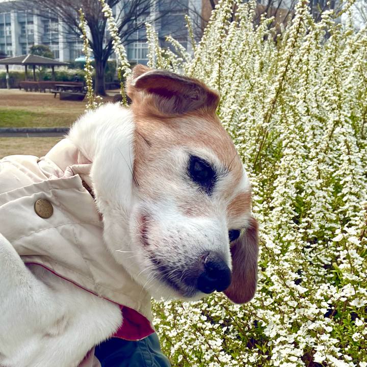 Ae53fc6d 06ff 4269 92e8 4555e0bb46d7 1711281180862