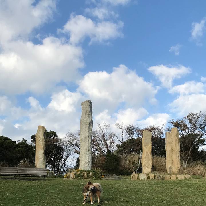 Ae541bc7 3394 4689 8eb8 a00cee7b36dc 1510293308560