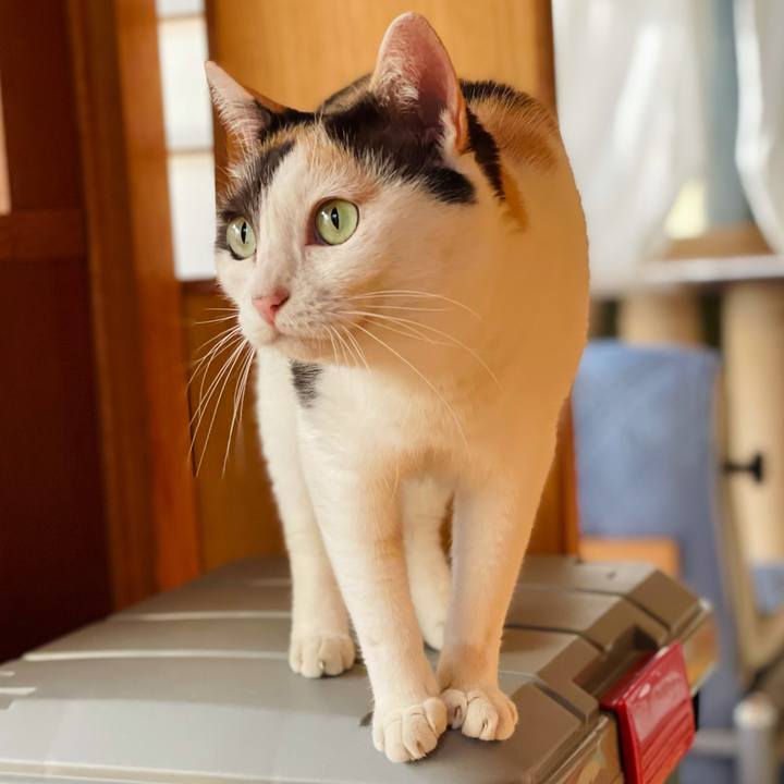 Ae5429e6 50e1 4473 8209 fcb27a95cf06 1630636212105