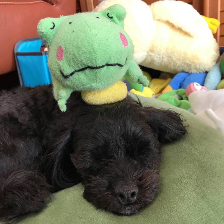 Ae54688a 4063 4d47 a1a0 926208e3fce8 1521343062768