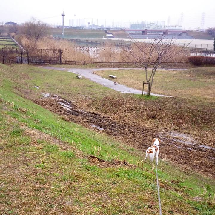 Ae549180 f127 4a0a 86a5 320aa558ea87 1516175407252