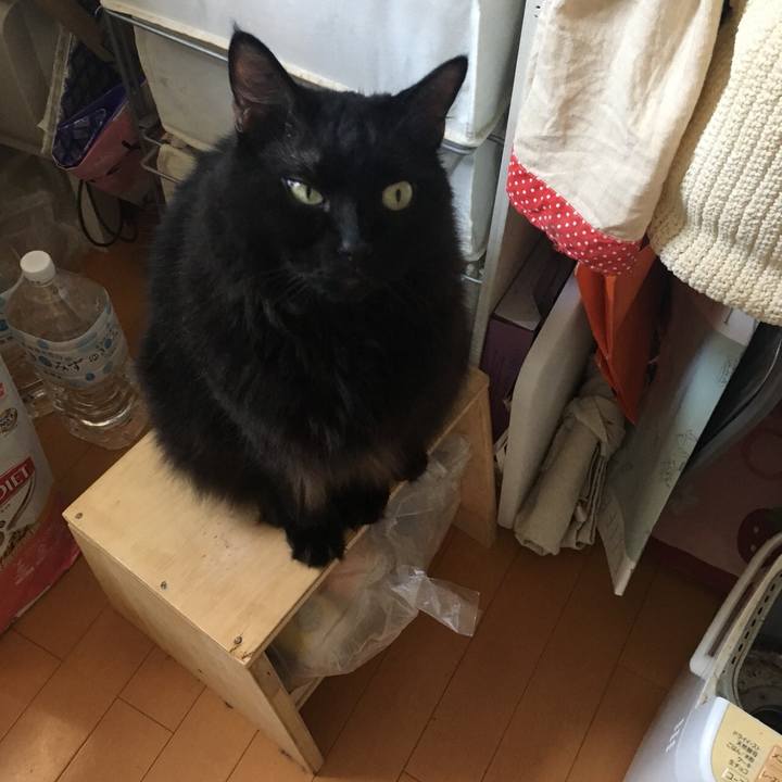 Ae549fca 90be 45d1 8e30 0dedde3ea14b 1565073020333