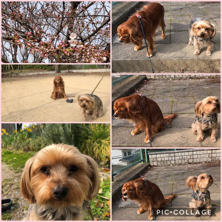 Ae54a328 0c37 47dd a9e6 bdcf127a4de0 1584837105287