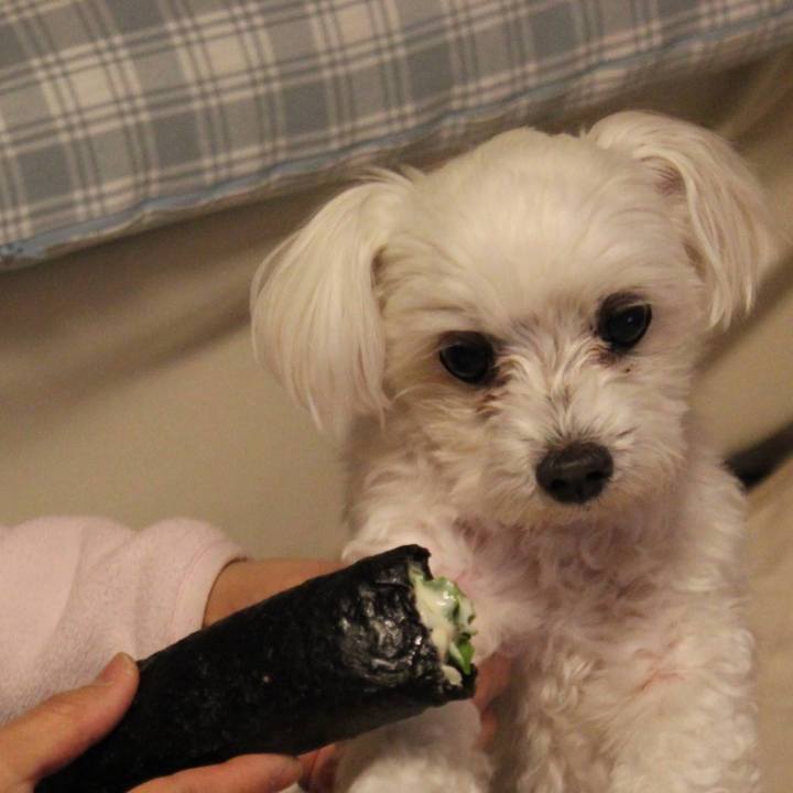 Ae54a883 4084 4846 bc29 db48eb1bf812 1643848852724