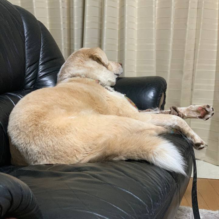 Ae54b90b 7033 425f b813 eb2c8f2b3c0b 1551536208752