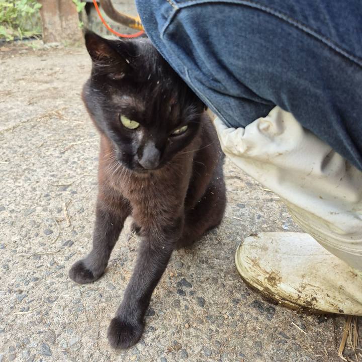 Ae54ba47 0785 4c45 8038 a5430636a9d0 1756117036811