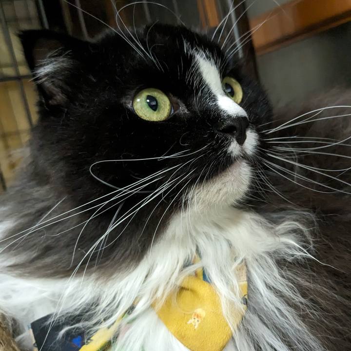 Ae54c84a 425c 46c3 91ea 9f1543f746a0 1694860052296