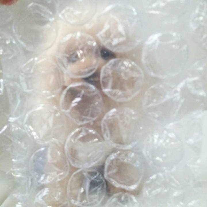 Ae54d91d 1849 4eb3 9a59 7a533d550198 1536750762577