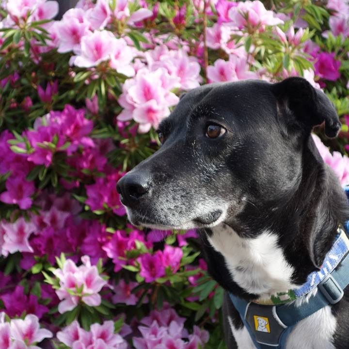 Ae55180f 527f 4c63 bc76 e454983cb24e 1713568308447