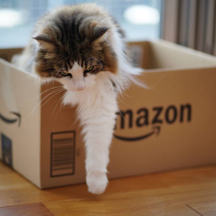 Ae5569bf 2700 4754 88cd ff5de9a6bd20 1659094823256