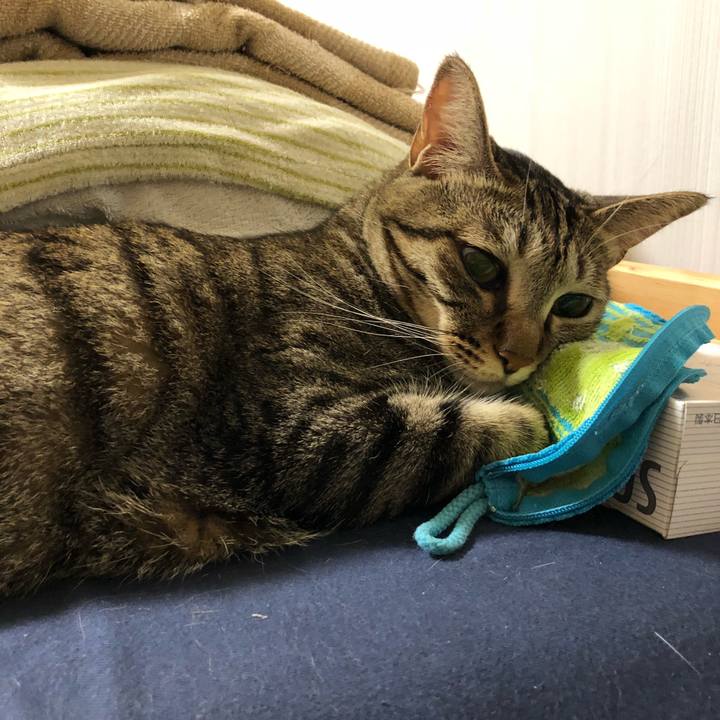 Ae55be05 9969 42b8 85a1 ac1d1e099b11 1532581632987