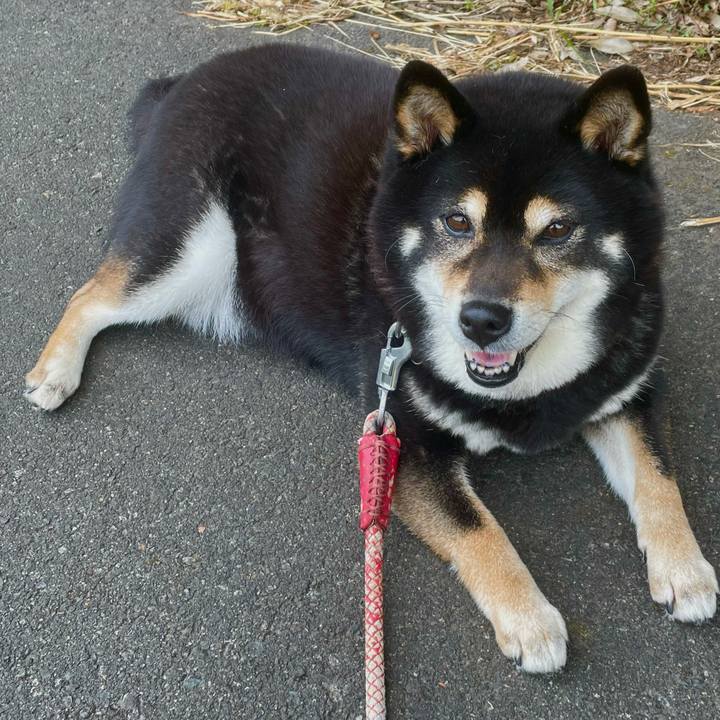 Ae561b0a 1f68 4596 a226 6c19f0fc2a27 1623199432785