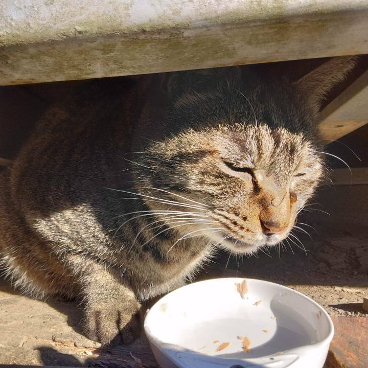 Ae562925 ed27 4130 bc9c d5c54028ca3d 1671534572096