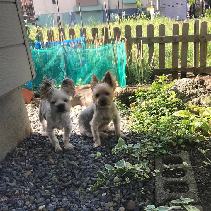 Ae5646fa 78d4 4ce8 994b 6b0a2f5c87b5 1566197934293