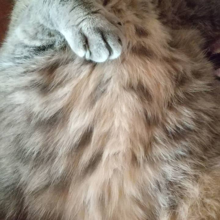 Ae564ed3 5c90 4487 bd03 e15b41f80e14 1635978361190