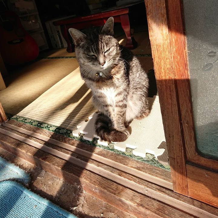 Ae5660b8 c72a 4b67 bb38 dbb8c2f9d788 1577581573962