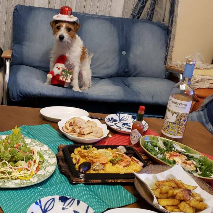 Ae5660c4 dfa2 4192 8e6e 0ce8868aa1f1 1608817310807