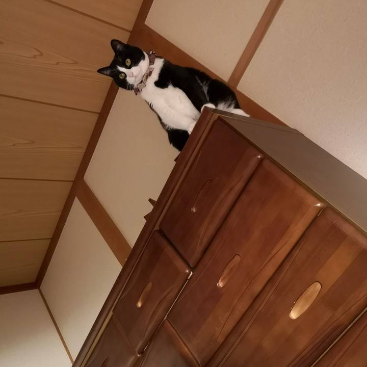 Ae567b44 ad35 46da a5ea b103fc6c862e 1673327587502