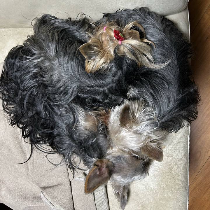 Ae56b21c 2f2b 4dcc bb91 ba44677684a5 1734174662615