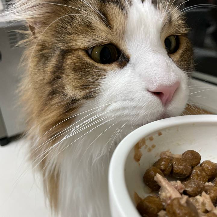 Ae56d3b0 7f64 45b4 b5df 86c93e5746a0 1681587578796