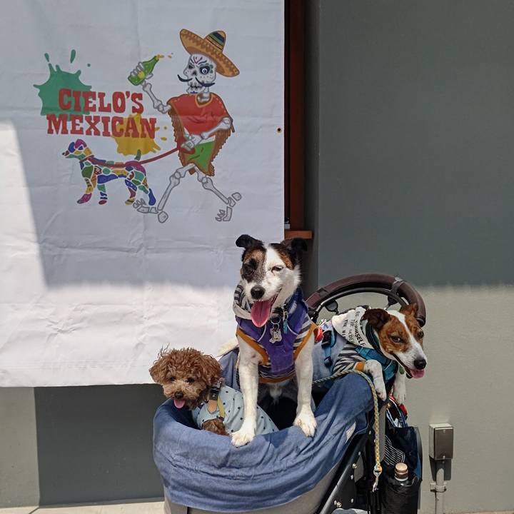 Ae56ed49 b10f 45ca 90a6 631baf7a3f79 1687689863536