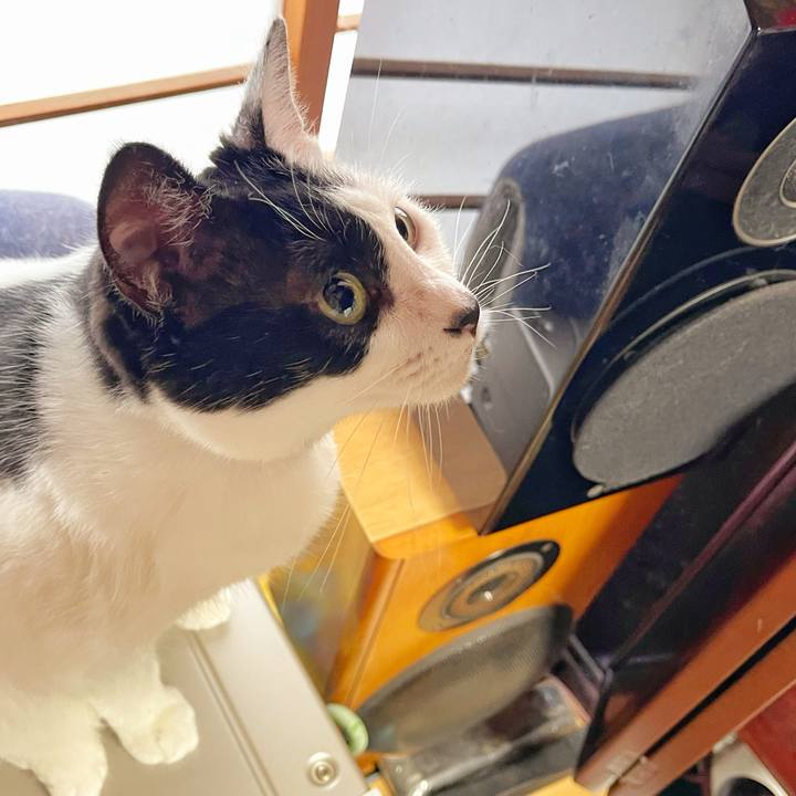 Ae56f0d8 8c9b 473b 835d ebe98ffcd81d 1752533577591