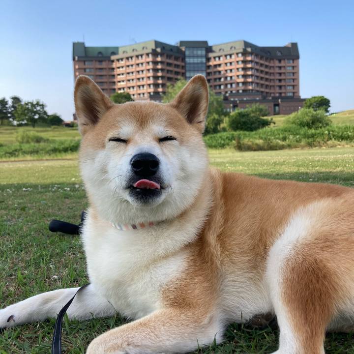 Ae56fa27 7ce7 413c 8f0f eeb4792e5148 1718436799603