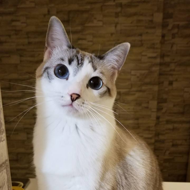 Ae56fe8d 1f6f 4910 b10b e01249ad7d9f 1522767653021