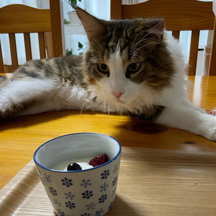 Ae5751d0 26e9 4da9 9e3c c88a124f1d04 1663103825563