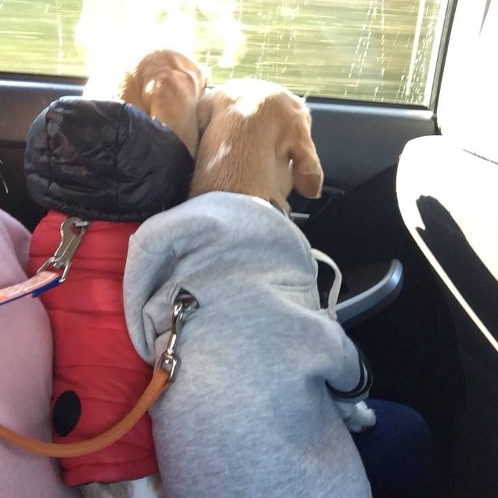 Ae5775c6 75f1 4402 9516 abb09ca5d953 1514901203108