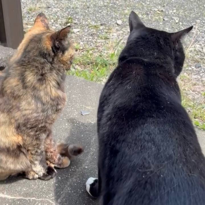 Ae5797d4 e768 455b b8e5 b5d1ee31b1a7 1775444897730