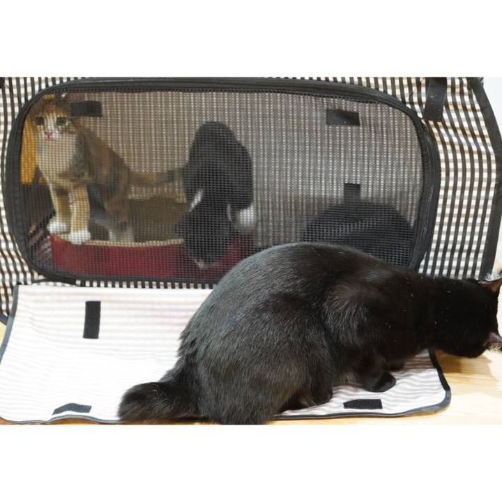 Ae57ae51 88a5 4f75 852b 7c8113c1cdc7 1570589210972